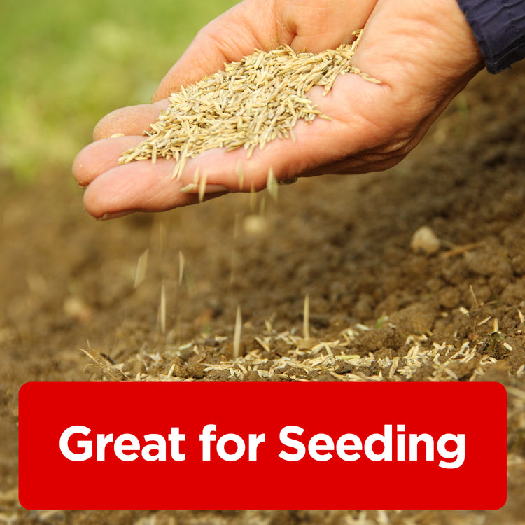 Applying grass seed to rich soil