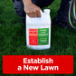 Lawn establishment fertilizer, starter fertilizer