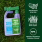 Liquid NPK fertilizer with hose-end sprayer on a deep green lawn