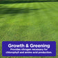 Lawn Booster: Lawn Energizer Iron & Nitrogen Blend (Half Gallon)