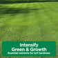 Lawn Food: 28-0-0 High Nitrogen (Half Gallon)