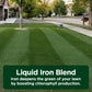 Darker Green Liquid Iron Micronutrient Blend (Half Gallon)