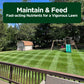 Lawn Food: 16-4-8 Complete Balanced NPK (Half Gallon)