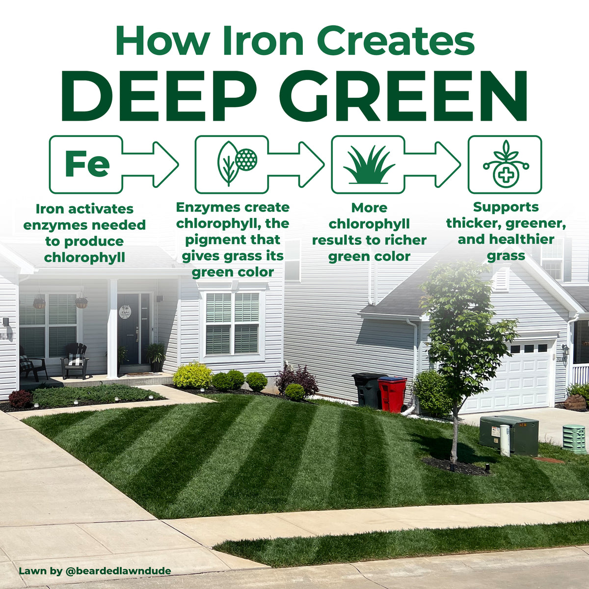 An informational lawn care graphic titled &