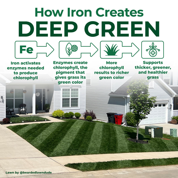 An informational lawn care graphic titled &