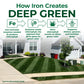 An informational lawn care graphic titled &