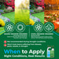When to apply infographic for 28-0-0 lawn food. Warm-season grasses apply during late spring/summer and cool-season grass apply in spring and fall.