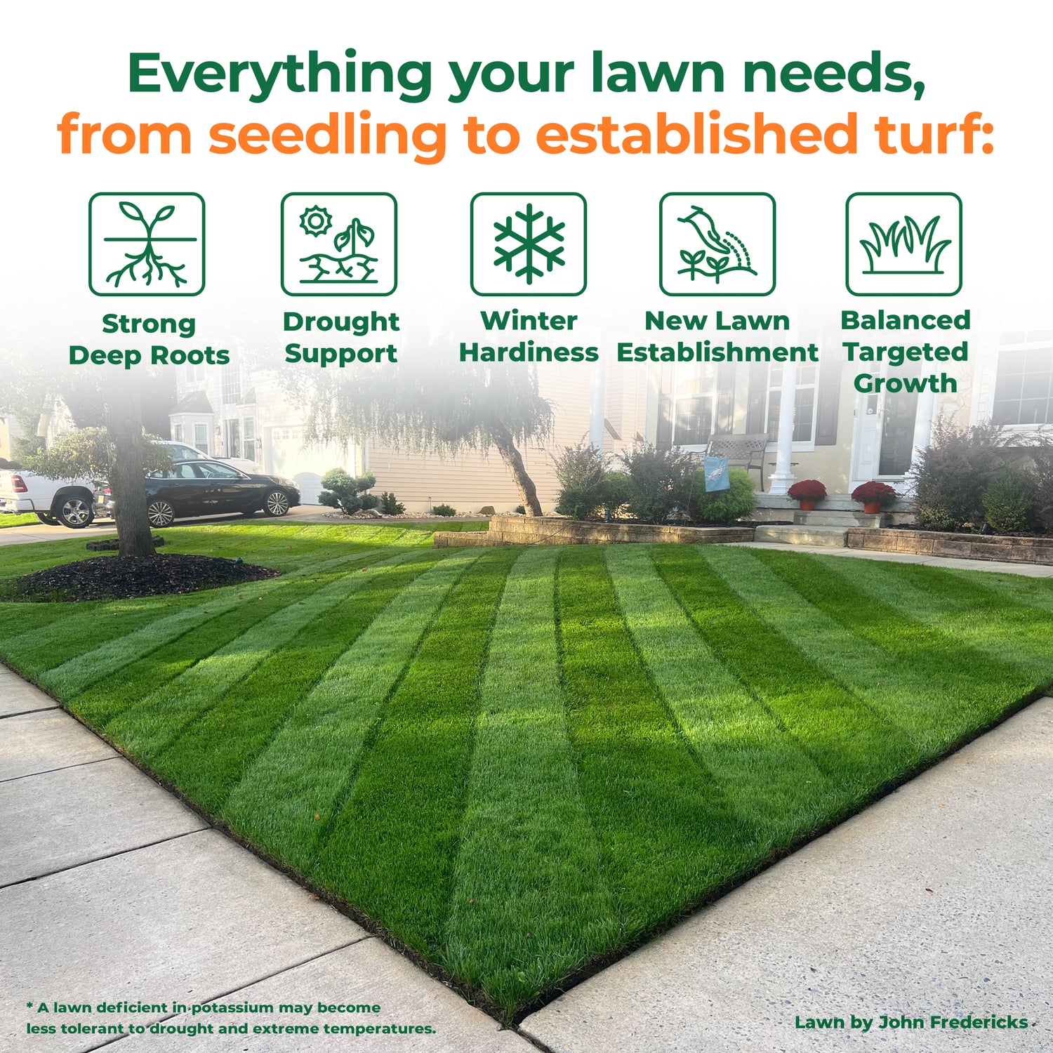 A green, striped lawn shown in a suburban front yard setting with a driveway, sidewalk, trees, and house in the background. Large text at the top reads &