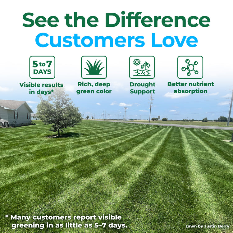 A promotional lawn care graphic showing a freshly mowed green lawn with visible stripe patterns, a house and tree at left, and large text reading &