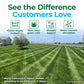 A promotional lawn care graphic showing a freshly mowed green lawn with visible stripe patterns, a house and tree at left, and large text reading &