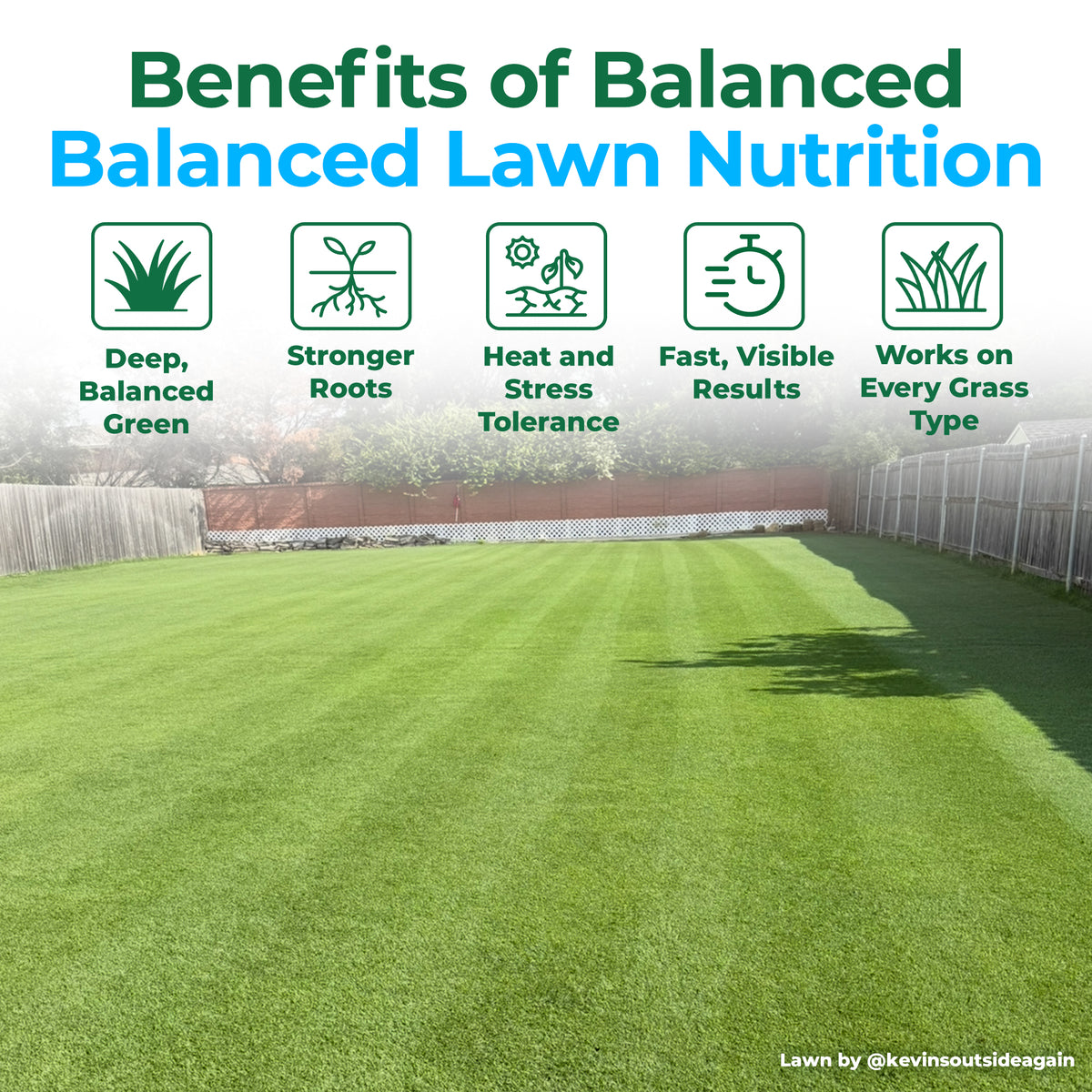 A promotional lawn care graphic with the headline &