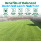 A promotional lawn care graphic with the headline &