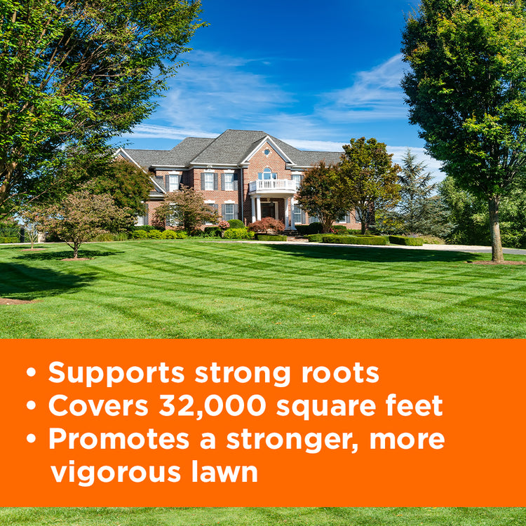 Large striped lawn in front of a mansion