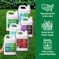 Spring Bundle - 6 Pack