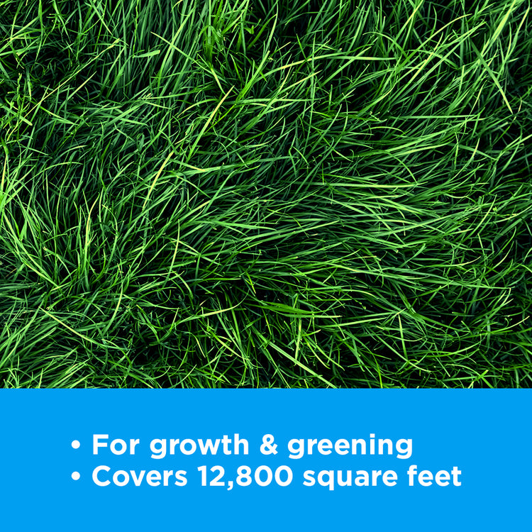 deep green grass