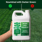 Rapid Green-up Bundle: Darker Green Liquid Iron & Accelerate Surfactant (1 Gallon & 32 ounce)