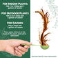 All-Purpose NPK Plant Food for Houseplants (32 Ounce)