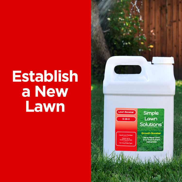 Starter fertilizer for new grass seed