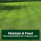 Lawn Food: 16-4-8 Complete Balanced NPK (1 Quart)