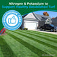 A green lawn with striped mowing patterns in the foreground, a suburban house and driveway in the background, and large promotional text reading &