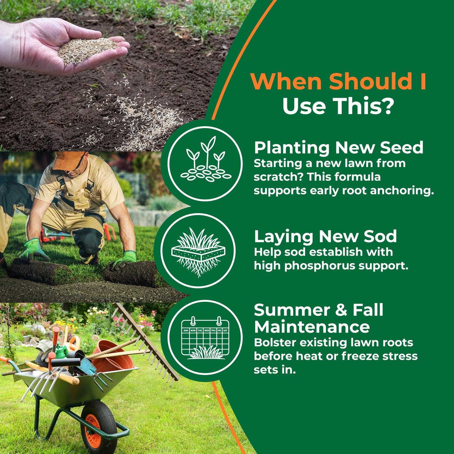 An informational lawn care graphic with a dark green background and text reading &