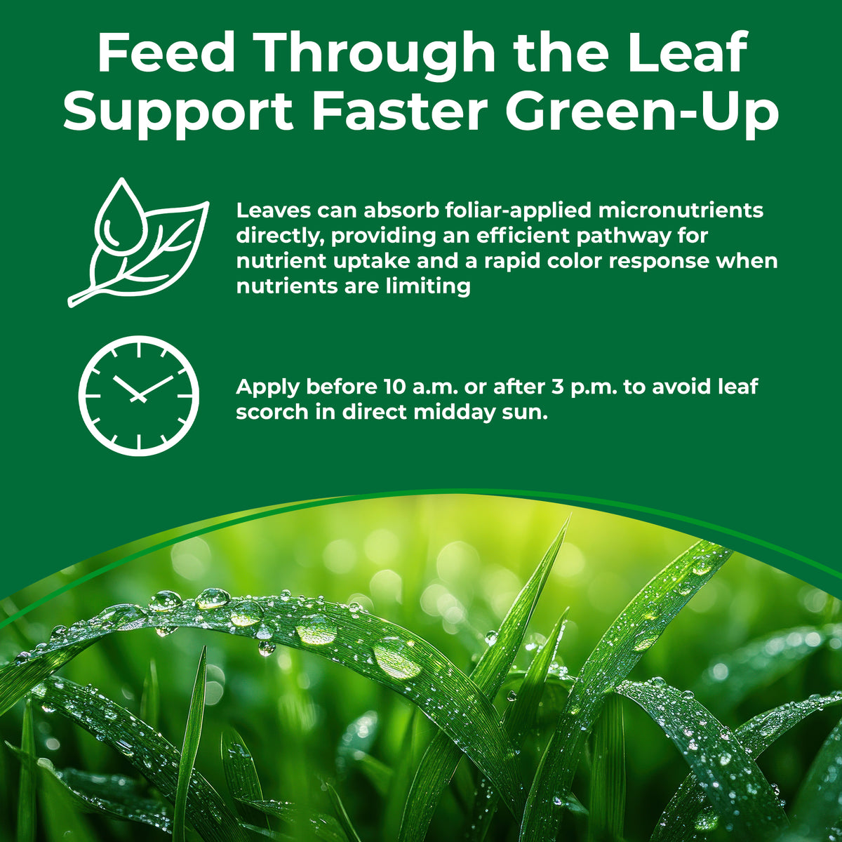 Infographic depicting foliar application 