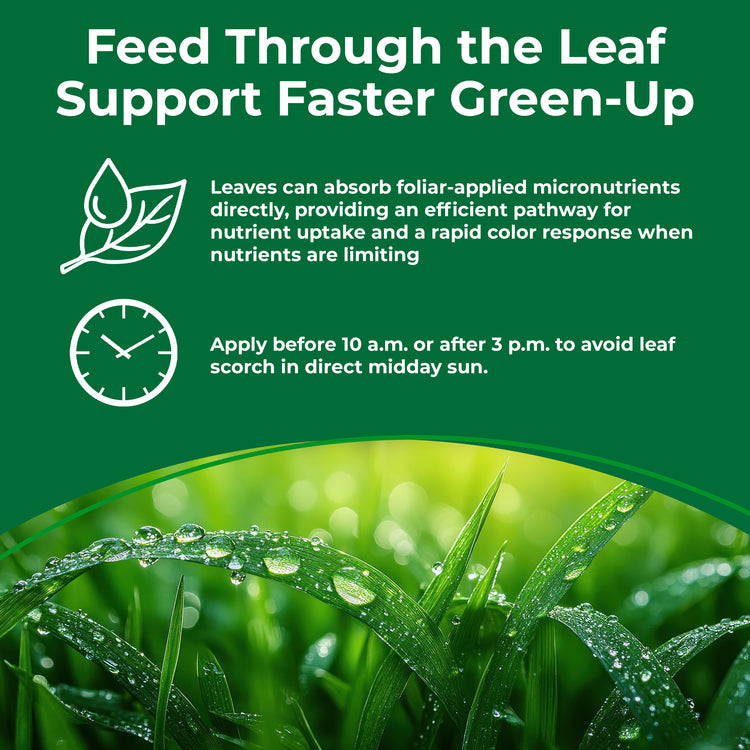 Infographic depicting foliar application 