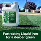 Darker Green Liquid Iron Micronutrient Blend (Half Gallon)