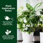 Houseplant application rates for darker green liquid iron formula, 3 tsp per 1 gallon of water.