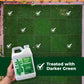 Darker Green Liquid Iron Micronutrient Blend (Half Gallon)