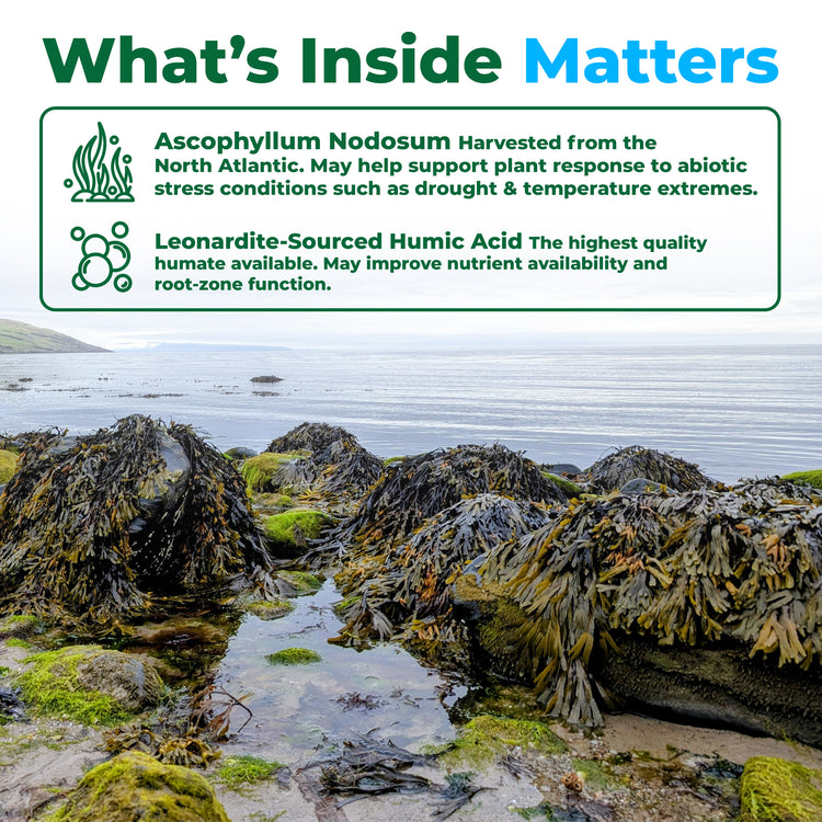 A product information graphic with the headline &