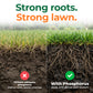 A split comparison graphic for lawn health showing grass cross-sections with soil. The left side has dry, sparse roots and cracked soil with text reading &