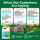 Promotional graphic for Simple Lawn Solution fertilizer, featuring customer testimonials with star ratings, a bottle of the product, and lawn imagery on a green background.