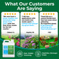 Simple Lawn Solutions customer quotes displaying real customers with review sentiment of healthy strong grass and fast visible greening.