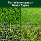 Warm Season Fall Bundle