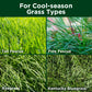 Cool-Season Summer Bundle