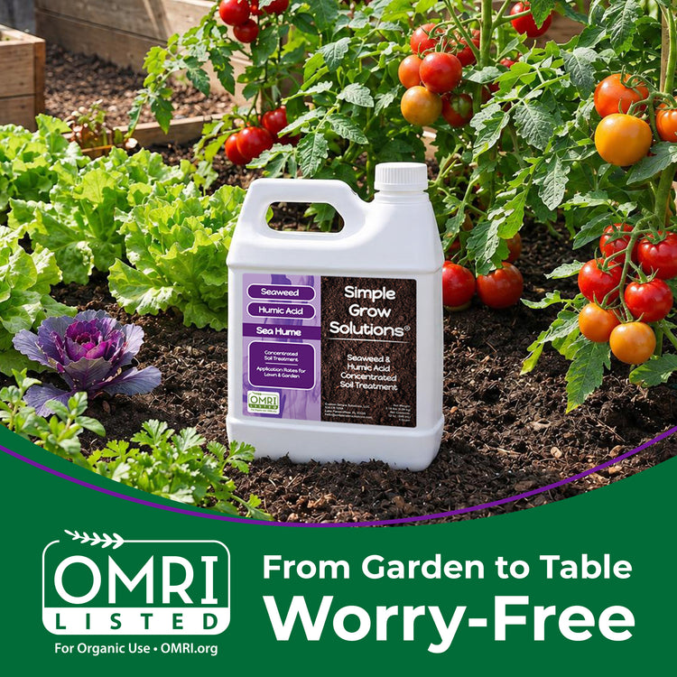 A white plastic jug of Simple Grow Solutions Site Pume pH 5.5 Syrup Acid fertilizer placed in a garden bed with tomato plants and leafy greens.