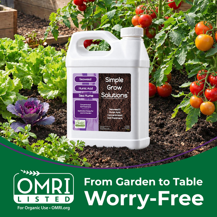 1 Gallon of Sea Hume in a tomato and vegetable garden displayed with the OMRI badge indicating that the product is certified for organic use.