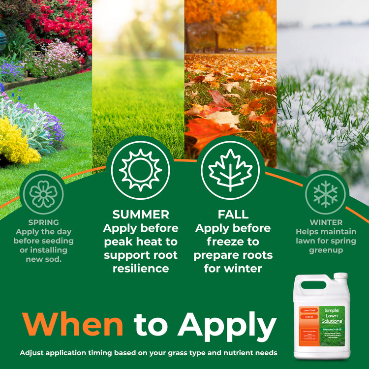 An informational lawn care graphic with four vertical lawn-season panels (spring, summer, fall, winter) and a green lower section titled &