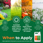 An informational lawn care graphic with four vertical lawn-season panels (spring, summer, fall, winter) and a green lower section titled &