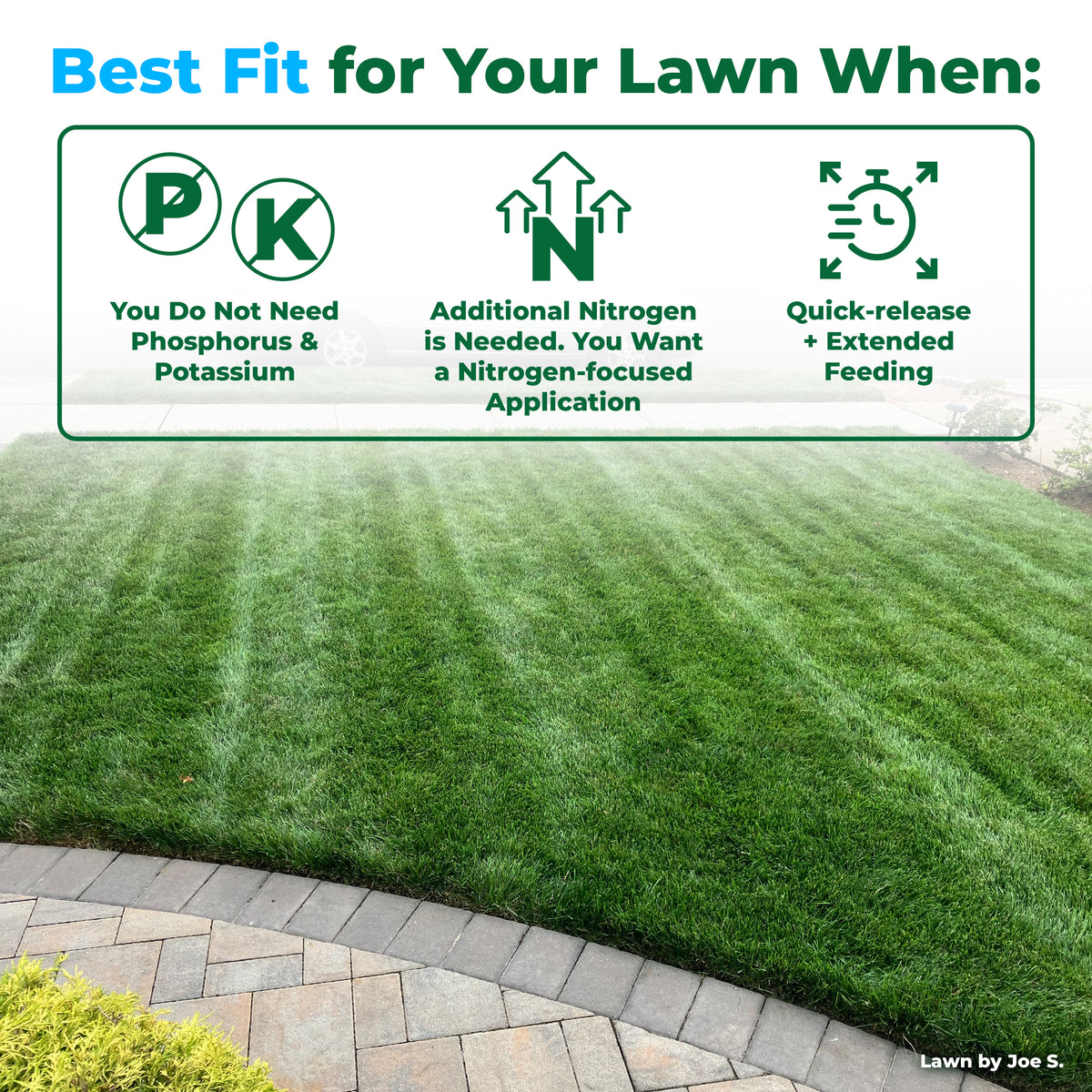 A lawn care informational graphic with the headline &
