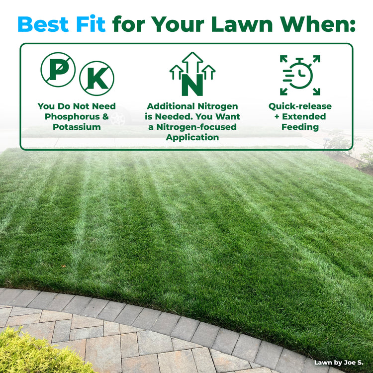 A lawn care informational graphic with the headline &