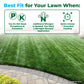 A lawn care informational graphic with the headline &