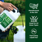 Liquid iron by simple lawn solutions poured into pump sprayer for all grass types 