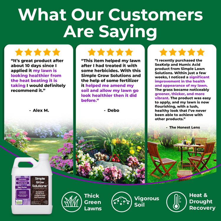 Promotional graphic for Simple Grow Lawn Care products, featuring three customer review cards with photos of green lawns, flowers, and lawn chairs, alongside a bottle of lawn care solution on a dark green background with the headline &