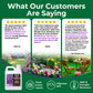 Promotional graphic for Simple Grow Lawn Care products, featuring three customer review cards with photos of green lawns, flowers, and lawn chairs, alongside a bottle of lawn care solution on a dark green background with the headline &