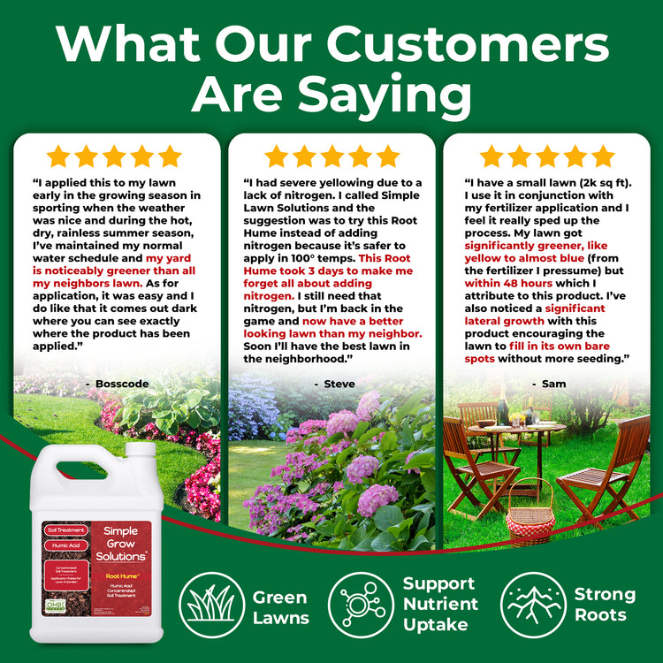 An informational graphic with the headline &