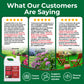 An informational graphic with the headline &