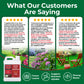 A promotional graphic with three large white text panels showing customer testimonials, plus three smaller before-and-after lawn photos and a green product box at the bottom. The headline reads &