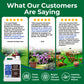 Infographic displaying customer reviews for soil hume that highlight thick green grass and bright vibrant gardens.